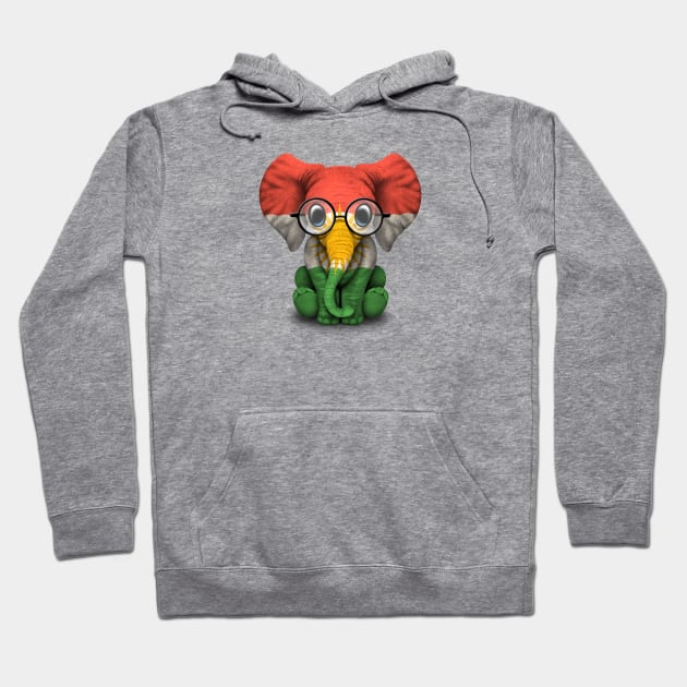 Baby Elephant with Glasses and Kurdish Flag Hoodie by jeffbartels